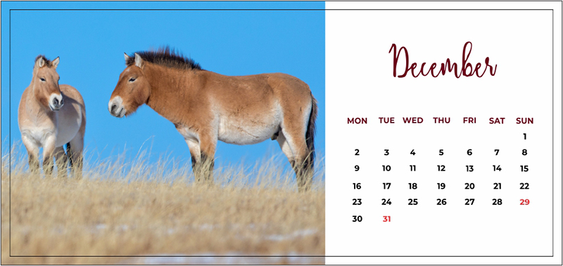 Mongolia events and festivals calendar